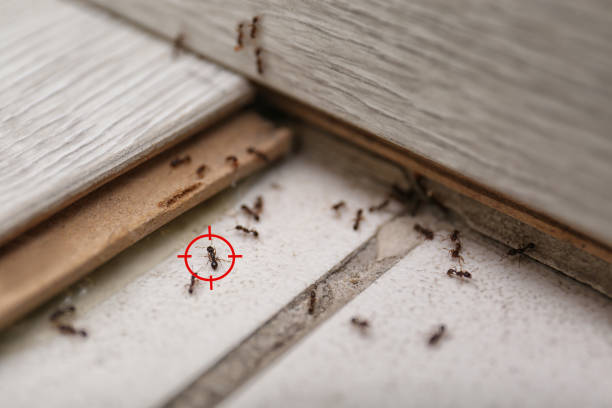 Best Cockroach Control Services  in Oregon, WI