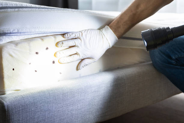 Best Ant Control Services  in Oregon, WI