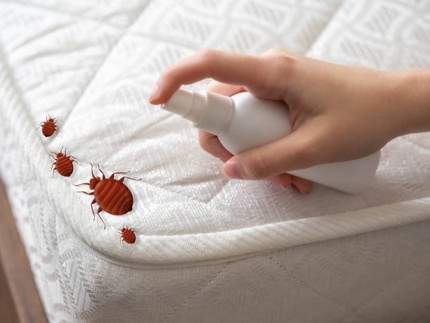 Best Wasp Removal Services  in Oregon, WI