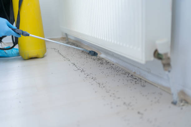 Best Affordable Pest Control Services  in Oregon, WI