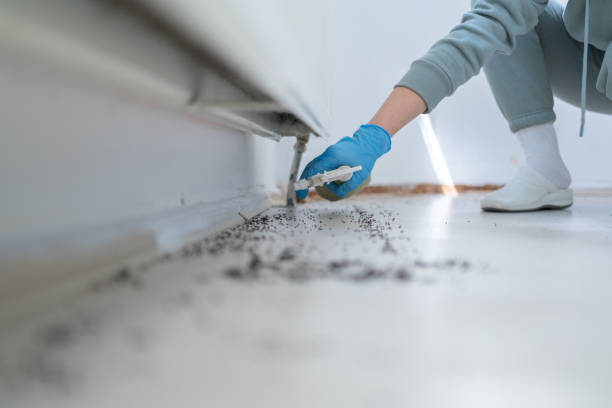Best Mosquito Control Services  in Oregon, WI