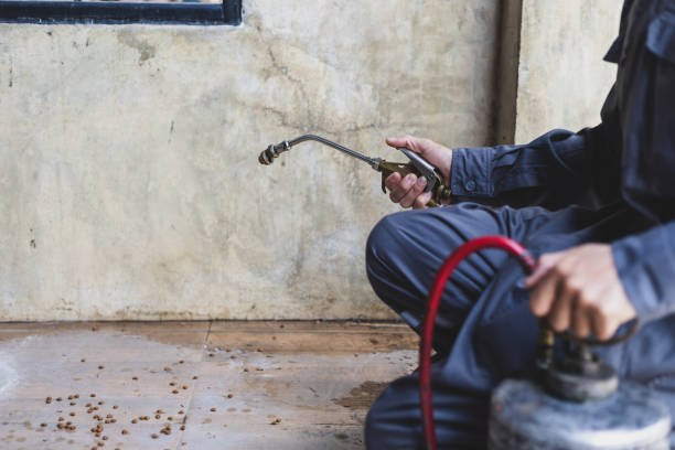 Best Rat Extermination Near Me  in Oregon, WI